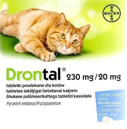 Drontal Koty 2 Tabletki Bayer