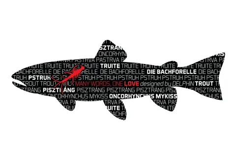 Naklejka Pstruh Seria Words Delphin