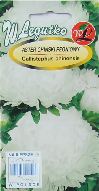Nasiona Aster Peoniowy Biały 1g Legutko Grc1