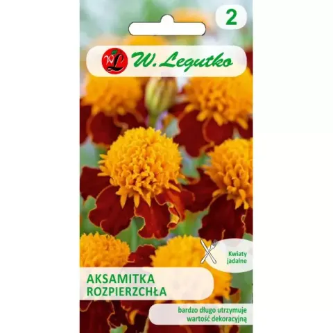 Nasiona Aksamitka Rozp. Dwubarwna 1g Orange Flame Legutko Grc2