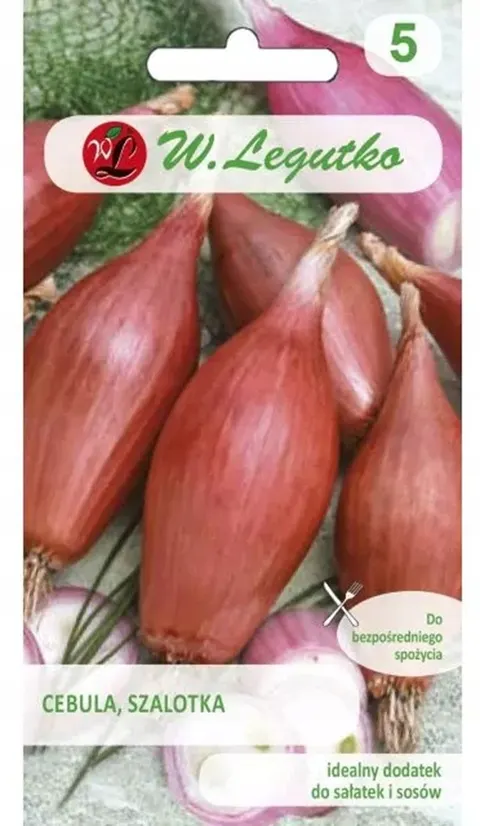 Cebula Szalotka 'Zébrune' - Nasiona - Legutko