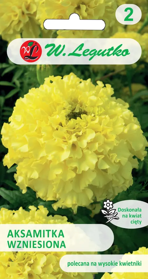 Aksamitka Wzniesiona Cytrynowożółta 1g Legutko Grc2