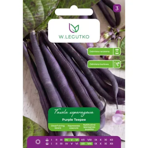 Nasiona Fasola Szparagowa Purple Teepee 40g Legutko
