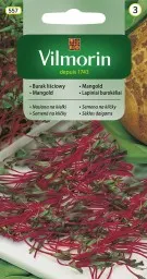 Nasiona Burak Liściowy Na Kiełki 10g Gc3