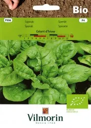 Nasiona Bio Szpinak Great D Hiver 10g Gc4