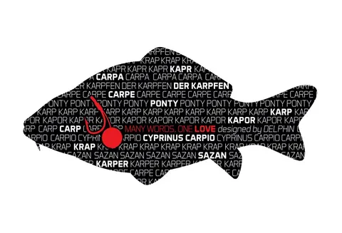 Naklejka Kapor Seria Words Delphin
