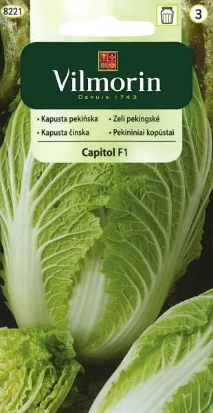 Nasiona Kapusta Pekińska Capitol 0,5g Vilmorin