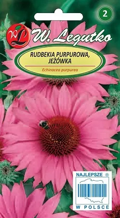 Rudbekia purpurowa (Jeżówka) różowa – miododajna bylina na rabaty – Nasiona Legutko