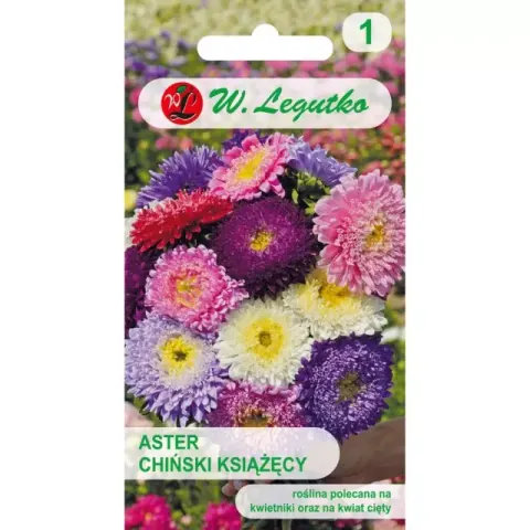 Nasiona Aster Książęcy Mix 1,25g Legutko Grc1