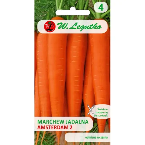 Marchew jadalna Amsterdam 6g Legutko nasiona marchwi bardzo wczesnej, soczystej do bezpośredniego spożycia