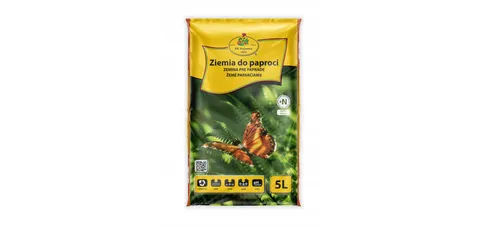 Ziemia do paproci Kik Krajewscy 5L
