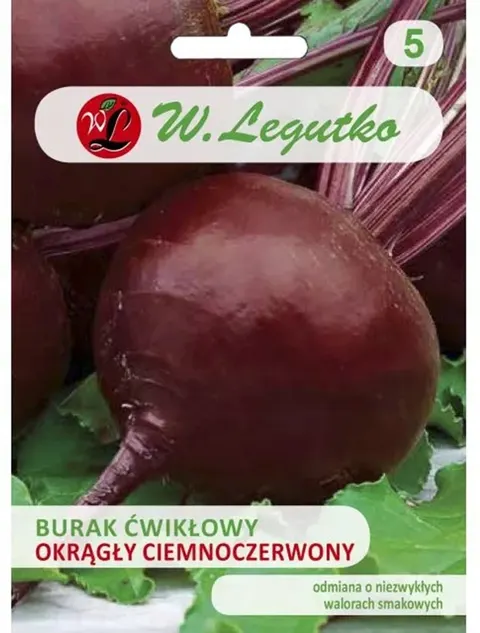 Burak ćwikłowy okrągły Ciemnoczerwony 20g Legutko bardzo plenna odmiana o intensywnym kolorze, do przetworów i przechowywania