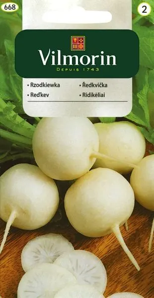 VILMORIN Rzodkiewka Tonda Muscona biała 2g