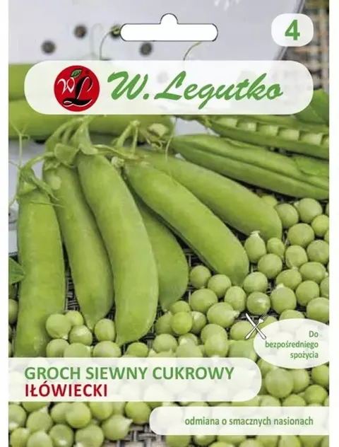Groch siewny cukrowy Iłówiecki 40g Legutko nasiona grochu do spożycia całych strąków, plenna odmiana ogrodowa