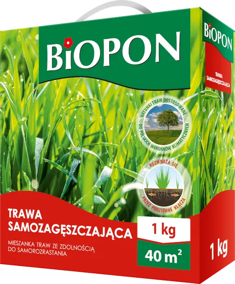 Trawa Samozagęszczająca 2kg 80m2 Biopon