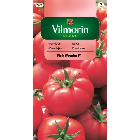 Pomidor Pink Wonder F1 nasiona 7szt. - VILMORIN