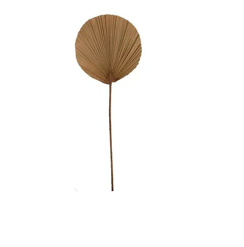 Liść Palma 38*1*100 Cm Natural 49567-017