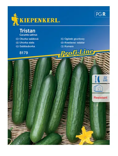 Ogórek Gruntowy 'Tristan' F1 – Nasiona – Kiepenkerl