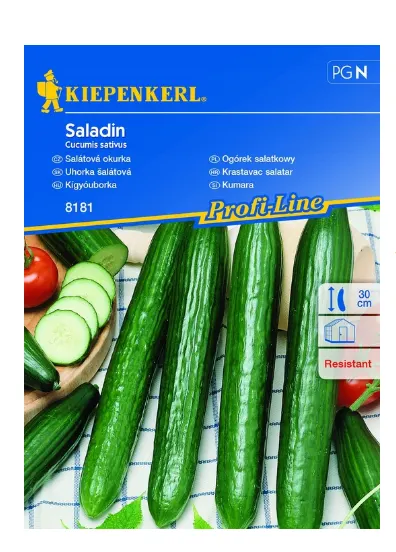 Nasiona Ogórek Sałatkowy Saladin 1g Kiepenkerl