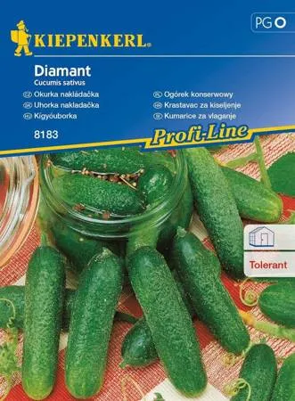 Nasiona Ogórek Konserwowy Diamant 10g Kiepenkerl