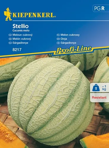 Melon cukrowy 'Stellio' F1 – Nasiona – Kiepenkerl