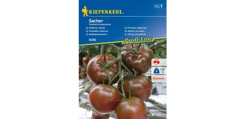 Pomidor Sałatkowy Alido Choco– Nasiona – Kiepenkerl