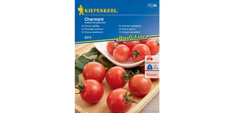 Pomidor Koktajlowy 'Charmant' F1 – Nasiona – Kiepenkerl