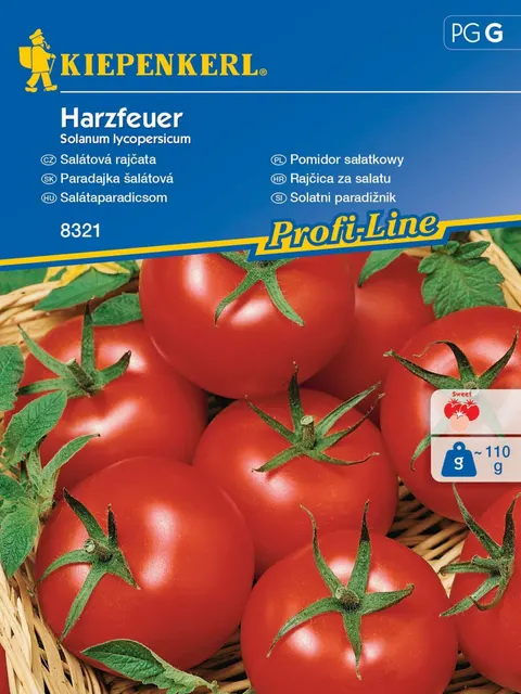 Pomidor Wczesny 'Harzfeuer' F1 – Nasiona – Kiepenkerl