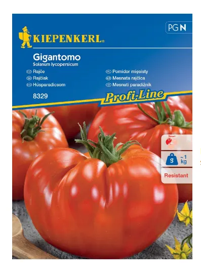 Pomidor mięsisty 'Gigantomo' F1 – Nasiona – Kiepenkerl
