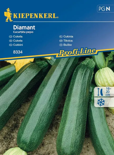 Cukinia 'Diamant' – Nasiona – Kiepenkerl
