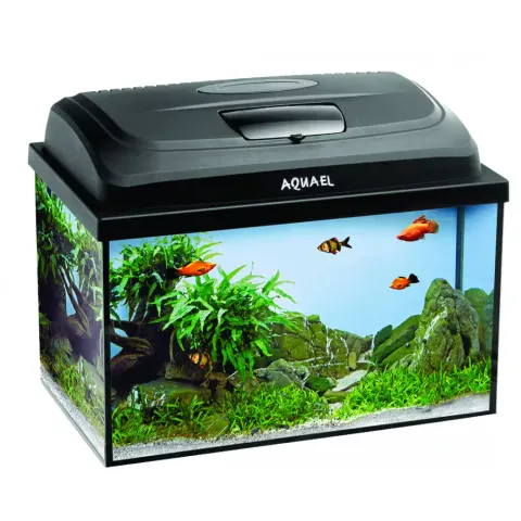 Aquale 4 Kids 40/P D&N Aq124270