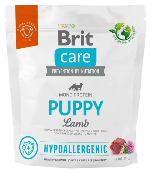 Karma sucha Brit jagnięcina 1 kg