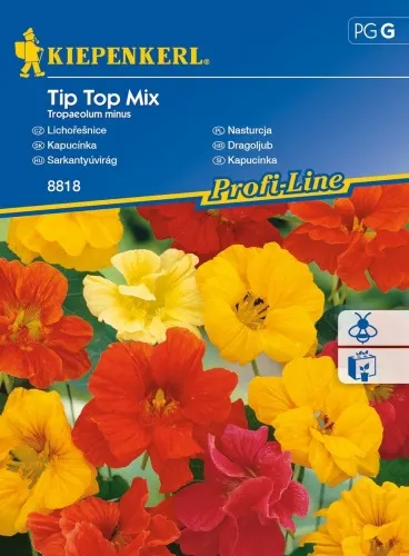 Nasturcja 'Tip Top' Mix – Nasiona – Kiepenkerl