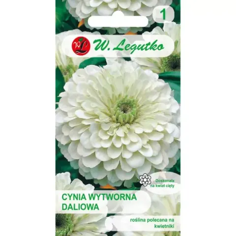 NASIONA CYNIA DALIOWA BIAŁA 1G LEGUTKO GRC1