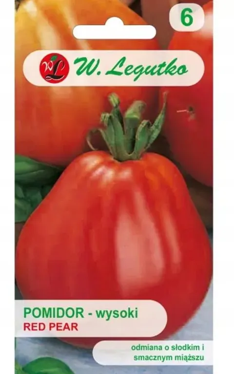 Pomidor Gruntowy Red Pear – duże, gruszkowate owoce o słodkim smaku – nasiona Legutko