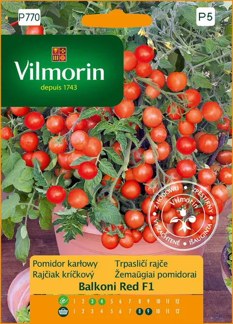 Nasiona pomidor Balkoni red 0.1G Vilmorin