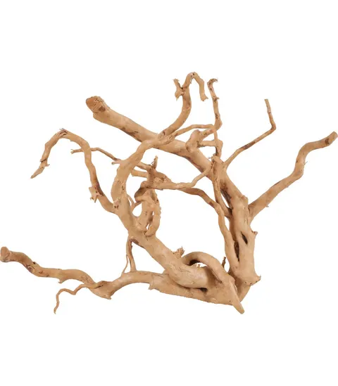 Zolux Korzeń Japoński 600624 Spider Wood 30-40cm 356051
