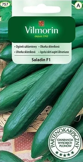 NASIONA OGÓREK SZKLARNIOWY SALADIN 0,8G VILMORIN GRCA