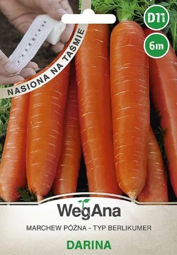 NASIONA MARCHEW JADALNA DARINA TAŚMA 6M WEGANA