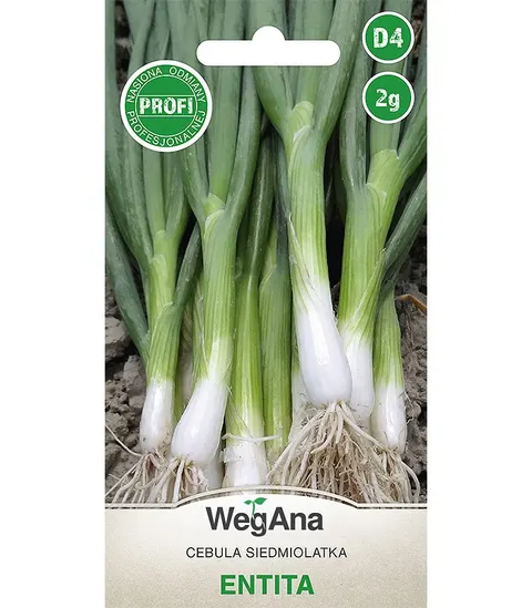 Cebula siedmiolatka Entita 2g - WegAna