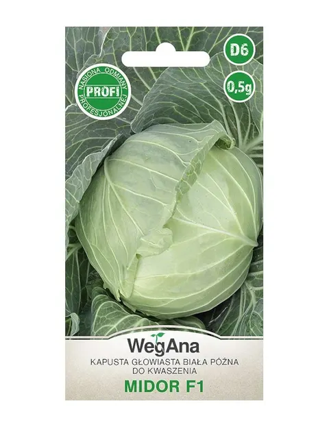 NASIONA KAPUSTA GŁOWIASTA BIAŁA MIDOR 0.5G WEGANA