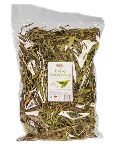 Alegia Przysmak Babka Lancetowata 300g A0202