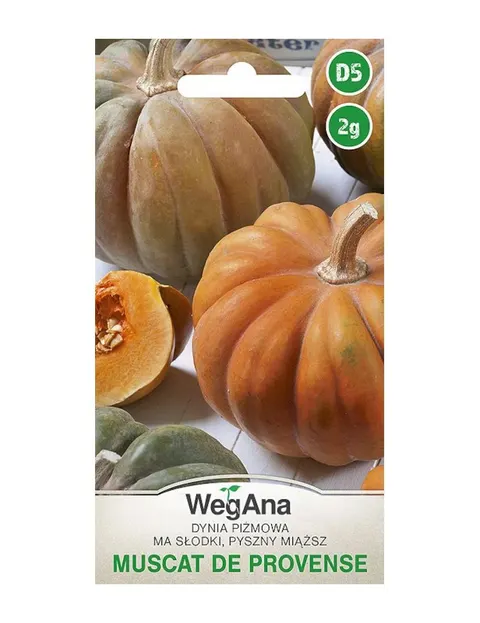 Dynia piżmowa Muscat de Provence 2g - WegAna