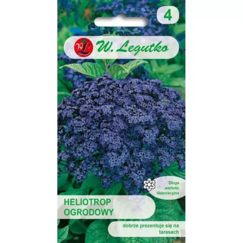 NASIONA HELIOTROP OGRODOWY 0,1G LEGUTKO GRC2