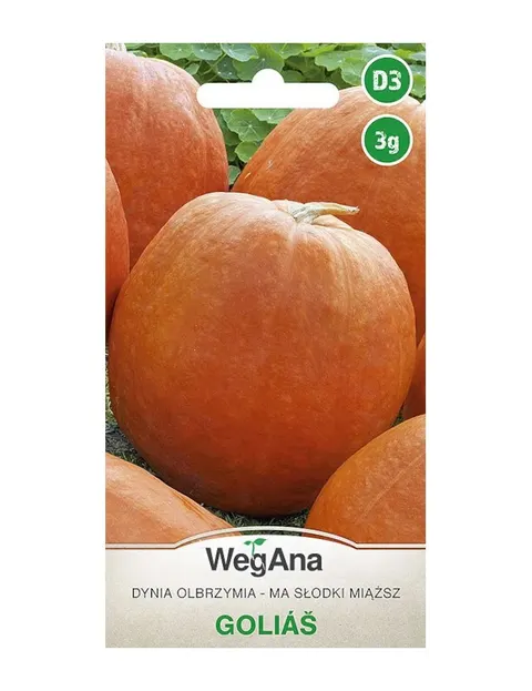Dynia olbrzymia Golias 3g - WegAna