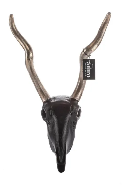 Głowa Antylopy Hermes Aluro (dł. x szer.): 48 x 29 cm