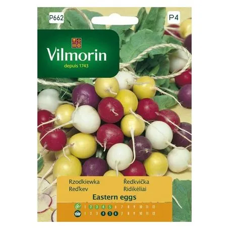 Rzodkiewka Eastern eggs nasiona 5g - VILMORIN