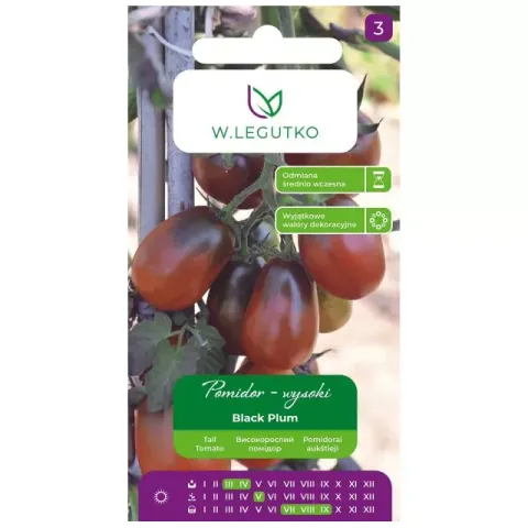 NASIONA POMIDOR BLACK PLUM 0,2G LEGUTKO