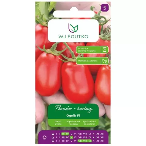 NASIONA POMIDOR OGNIK F1 0,5G LEGUTKO