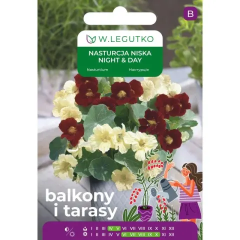 NASIONA NASTURCJA NISKA NIGHT & DAY 5.00G LEGUTKO GRC3